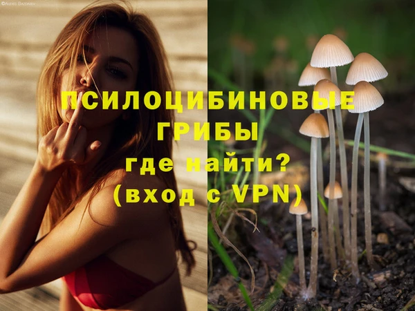 гашик Белокуриха