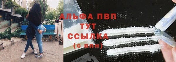 гашик Белокуриха